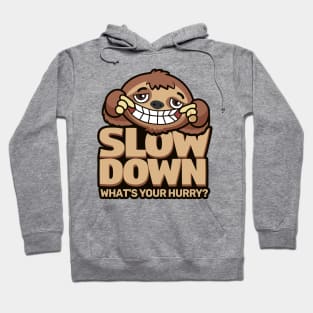 'Slow Down Whats Your Hurry' Funny Sloth Gift Hoodie